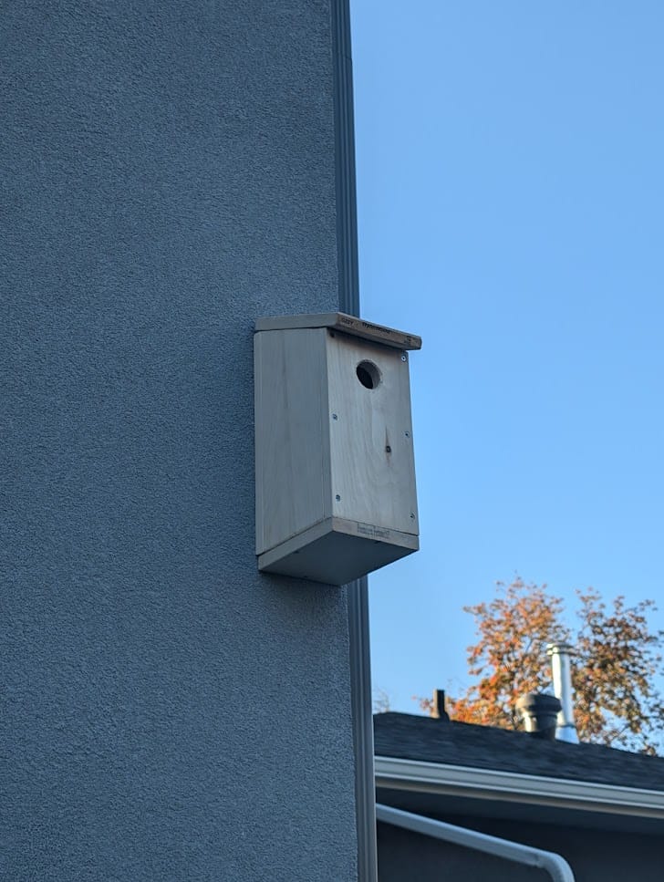 Building a Cozy Home for a Feathery Interloper.