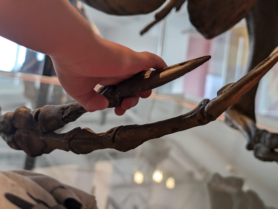 Un viaje a través del tiempo: la primera aventura de dinosaurio de Elena